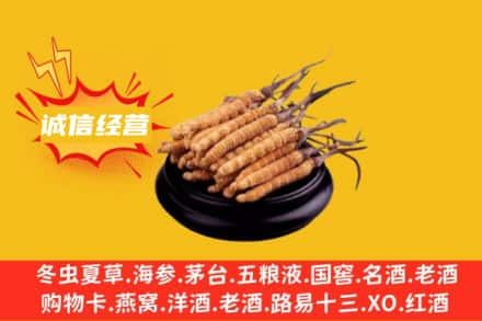 宁德回收冬虫夏草